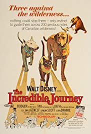 The Incredible Journey (1963) Free Movie