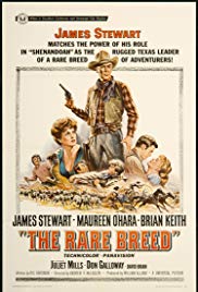 The Rare Breed (1966) Free Movie M4ufree