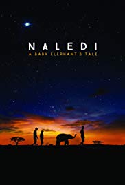Naledi: A Baby Elephants Tale (2016) Free Movie M4ufree