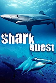 Shark Quest (2003) Free Movie M4ufree