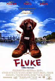 Fluke (1995) Free Movie