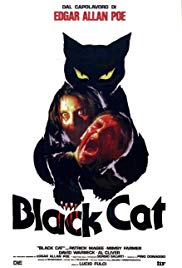 The Black Cat (1981) Free Movie M4ufree
