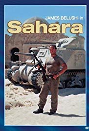 Sahara (1995) Free Movie