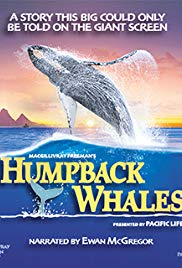 Humpback Whales (2015) Free Movie