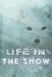 Life in the Snow (2016) Free Movie