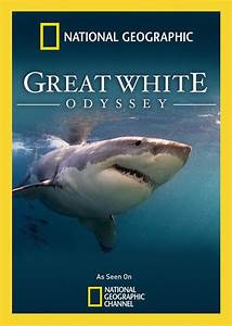 Great White Odyssey (2008) Free Movie
