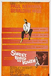 Sweet Bird of Youth (1962) Free Movie