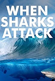When Sharks Attack (20132020) M4uHD Free Movie