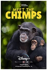 Meet the Chimps (2020 ) Free Tv Series