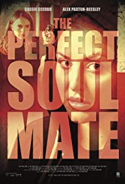 The Perfect Soulmate (2017) Free Movie