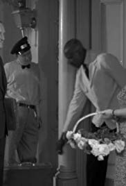 The Rose Garden (1956) Free Movie M4ufree