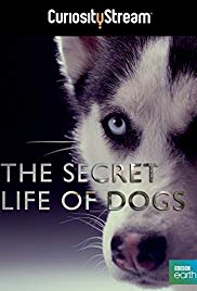 Secret Life of Dogs (2013) Free Movie