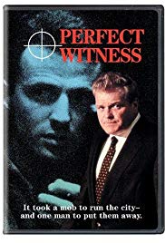 Perfect Witness (1989) Free Movie