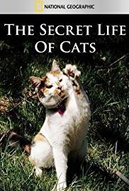 The Secret Life of Cats (2014) Free Movie M4ufree