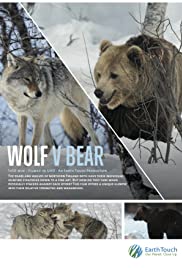 Wolf vs Bear (2018) Free Movie