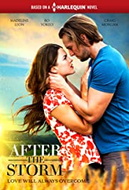 After the Storm (2019) Free Movie