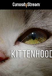 Kittenhood (2015) Free Movie