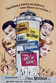 The Art of Love (1965) Free Movie M4ufree