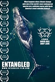 Entangled: The Race to Save Right Whales from Extinction (2020) M4uHD Free Movie