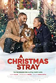 A Christmas Stray (2021) M4uHD Free Movie