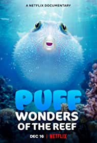 Puff Wonders of the Reef (2021) Free Movie