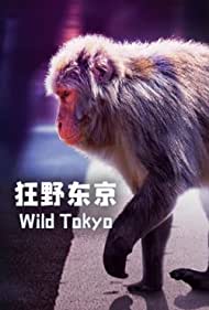Wild Tokyo (2020) M4uHD Free Movie