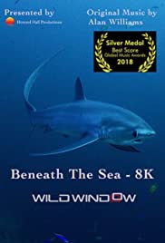 Wild Window: Beneath the Sea (2018) Free Movie M4ufree