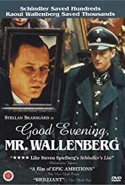 Good Evening, Mr. Wallenberg (1990) M4uHD Free Movie