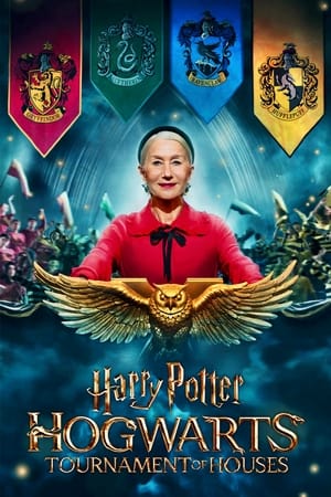 Harry Potter Hogwarts Tournament of Houses (2022) Free Tv Series