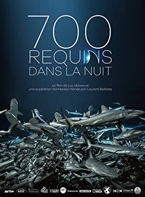 700 requins dans la nuit (2018) Free Movie