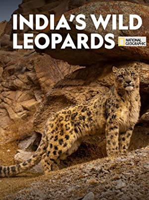 Indias Wild Leopards (2020) Free Movie M4ufree