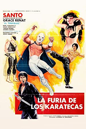 The Fury of the Karate Experts (1982) M4uHD Free Movie