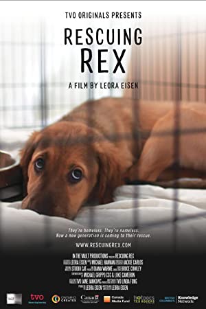 Rescuing Rex (2020) Free Movie