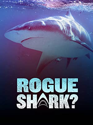 Rogue Shark? (2021) Free Movie