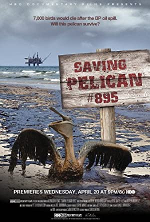 Saving Pelican 895 (2011) Free Movie