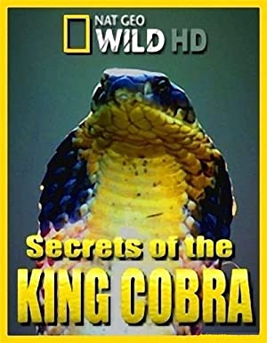 Secrets of the King Cobra (2010) Free Movie M4ufree