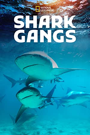 Shark Gangs (2021) M4uHD Free Movie