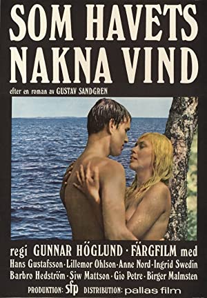 One Swedish Summer (1968) Free Movie
