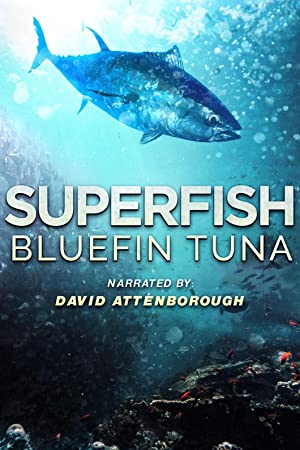Superfish Bluefin Tuna (2012) Free Movie