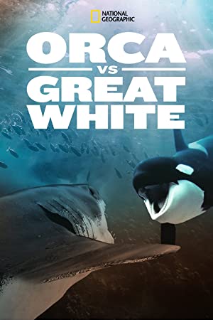 Orca vs. Great White (2021) Free Movie M4ufree