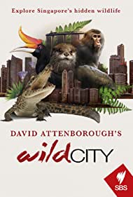 David Attenboroughs Wild City (2016) Free Tv Series
