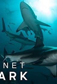 Planet Shark (2022-) Free Tv Series