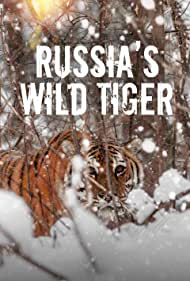 Russias Wild Tiger (2022) Free Movie