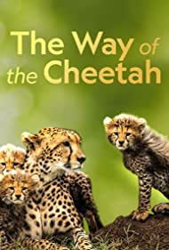 The Way of the Cheetah (2022) M4uHD Free Movie