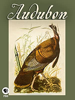 Audubon (2017) M4uHD Free Movie