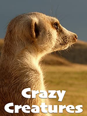 Crazy Creatures (2018) Free Movie M4ufree