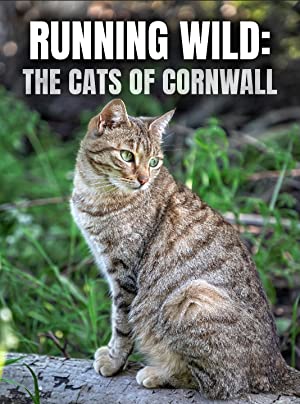 Running Wild The Cats of Cornwall (2020) M4uHD Free Movie