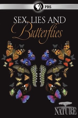 Sex, Lies and Butterflies (2018) Free Movie