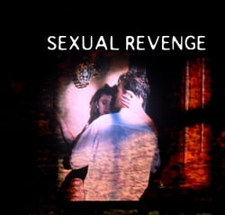 Sexual Revenge (2004) Free Movie