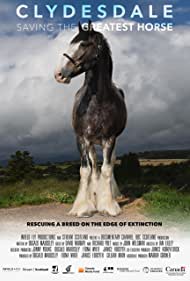 Clydesdale Saving the Greatest Horse (2020) M4uHD Free Movie